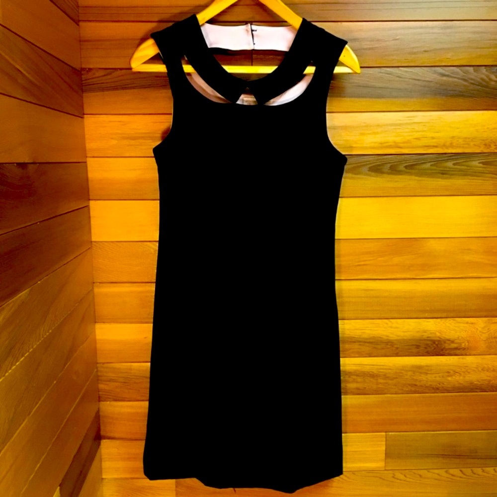 Anthropologie sleeveless little Black Dress